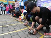 武汉上演趣味“龟兔赛跑” 市民带爱宠参赛
