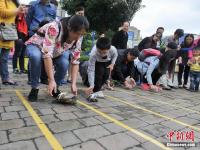 武汉上演趣味“龟兔赛跑” 市民带爱宠参赛