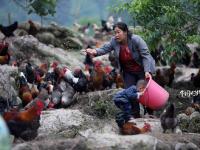 广西罕见十口之家：四代同堂 还有五个民族