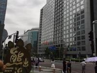 证监会门前出现两头熊 熊大熊二都来了