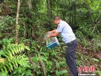 顽皮蜂猴溜进洗车场“冲凉”警民联手救助放生