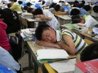 高考冲刺百态：安徽千名中学生趴课桌午休