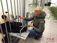 2016年首只海外大熊猫宝宝在比利时出生