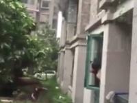 温州一父亲在大火中将三岁半女儿从三楼抛出
