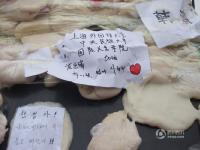 吉林延边考生家长校门前贴打糕 寓意“打高分”