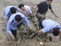70岁老人深陷淤泥12小时 只为捡1只矿泉水瓶