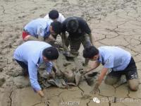 70岁老人深陷淤泥12小时 只为捡1只矿泉水瓶