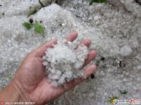 哈尔滨街头冰雹堆成小山 市民纷纷拍照留念