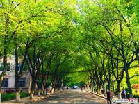 “烧烤模式”将退场