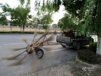 甘肃平凉现扫马路“神器” 九把扫帚不停旋转