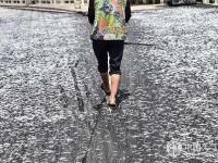 重庆三峡库区浮现大量银鱼