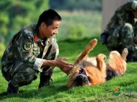武警重庆总队警犬班 萌犬叼水管帮主人洗头
