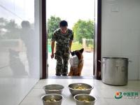 武警重庆总队警犬班 萌犬叼水管帮主人洗头
