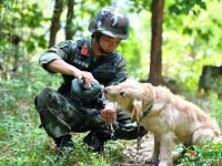 武警重庆总队警犬班 萌犬叼水管帮主人洗头