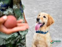 武警重庆总队警犬班 萌犬叼水管帮主人洗头