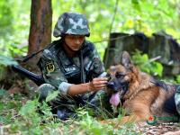 武警重庆总队警犬班 萌犬叼水管帮主人洗头