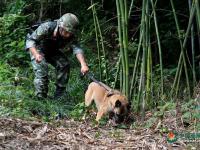 武警重庆总队警犬班 萌犬叼水管帮主人洗头