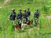 武警重庆总队警犬班 萌犬叼水管帮主人洗头