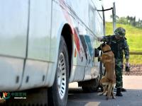 武警重庆总队警犬班 萌犬叼水管帮主人洗头