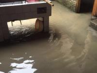 中国南方遭暴雨袭击 多地出现洪涝
