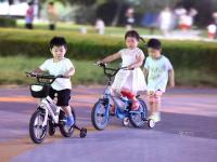 亳州政府大院变“市民公园” 每晚开放5小时