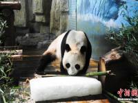 山东济南动物园“花式”为动物消暑