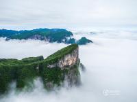 张家界天门山现云海奇观 山体似“悬浮”空中