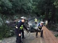江西庐山现8级以上雷雨大风 公路发生山体滑坡