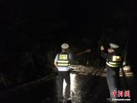 江西庐山现8级以上雷雨大风 公路发生山体滑坡