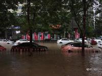 武汉再遭100毫米以上强暴雨 雨滴密如珠帘