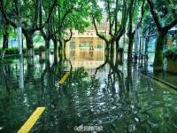 暴雨过后 南理工的“奇幻森林”
