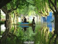 暴雨过后 南理工的“奇幻森林”