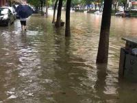 网友直击各地暴雨洪灾现场：你的家乡还好吗？