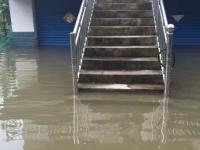 网友直击各地暴雨洪灾现场：你的家乡还好吗？