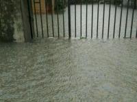 网友直击各地暴雨洪灾现场：你的家乡还好吗？