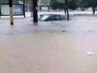 网友直击各地暴雨洪灾现场：你的家乡还好吗？