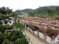 四川一兔舍被大风刮塌 万余只兔子被砸死