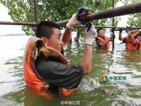 子弟兵在齐腰深水中搭“便民桥”