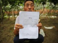西安数万棵将成熟葡萄树被砍 村民疑因征地拆迁