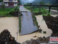重庆遭暴雨袭击 肥猪被冲跑淹死