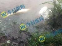 湖北宜都暴雨过后群众纷纷捡到大鱼
