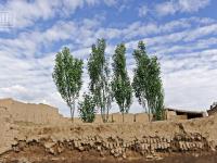 【鹅眼】它曾是军事要塞 如今湮灭在戈壁滩