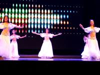 2016湖南省“欢乐潇湘”大祥区文艺汇演隆重上演