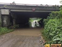 成都隧道积水 “捞牌哥”2天捞20多副车牌