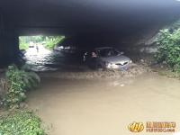 成都隧道积水 “捞牌哥”2天捞20多副车牌