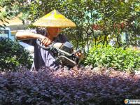 创卫，我们有着火热的激情！