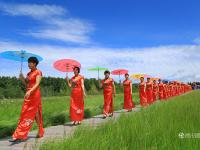 河北木兰围场上演千人旗袍秀