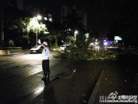 台风“妮妲”登陆 广东疏散沿岸群众