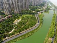 杭州湿地水面现