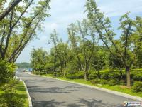 【醉美邵阳】西苑公园